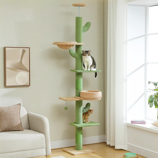 arbre a chat cactus vert chic