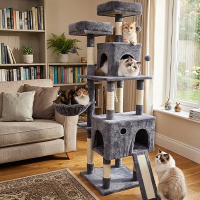 Arbre à chat de couleur gris foncé avec quatre chats qui ont leur propre place avec sa grandeur généreuse