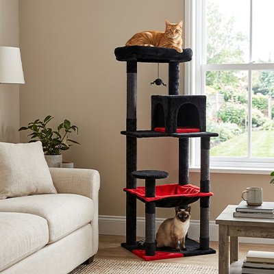 Arbre à chat de couleur rouge et noir avec deux chats qui dorment en hauteur dans une pièce lumineuse