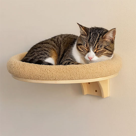 arbre a chat mural perchoir avec petit chat