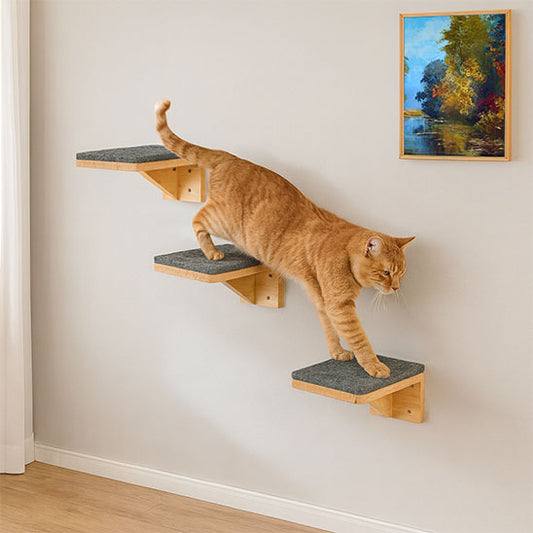 arbre a chat mural perchoir etagere avec un chat