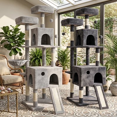 Arbre à chat un de gris clair et un autre de gris foncé avec une grandeur généreuse