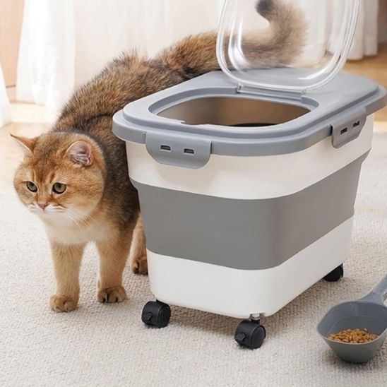 boite a croquettes pour chat gris et blanc