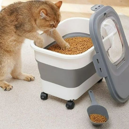 boite a croquettes pour chat gris