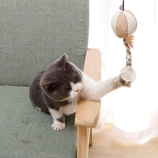chat jouet baquette innovante pour tous les chats