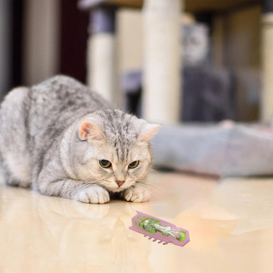 chat jouet insecte amusant