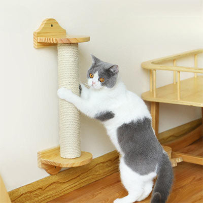 corde arbre a chat robuste blanc avec chat gris