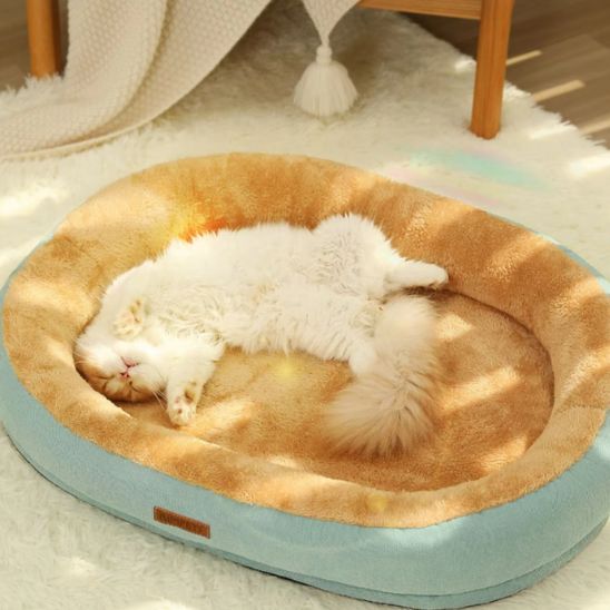 coussin chat confortable chaud et doux