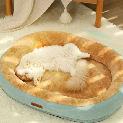 coussin chat confortable chaud et doux