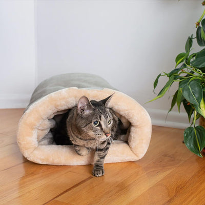coussin chat doux et chaud