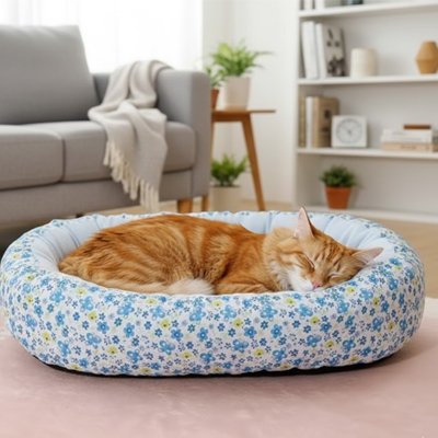 Coussin chat bleu fleuri avec un beau chat rouquin qui dort dedans dans un salon bien décoré