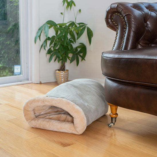 coussin chat gris doux et chaud