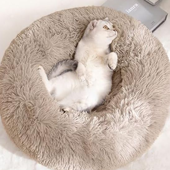 coussin chat avec un chat blanc coucher sur le dos très bien installer dans cette peluche douillet et épaisse 