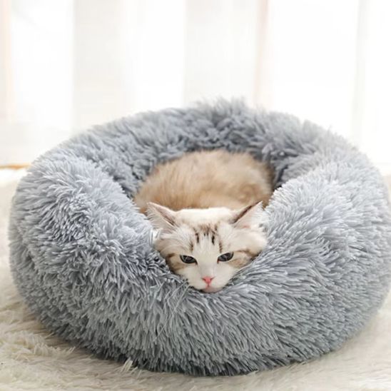 coussin chat de couleur gris avec un beau chat qui nous confirme qu'il est super bien dans cette peluche bien rembourrer