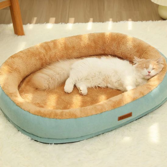 coussin chat vert et ovale