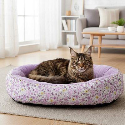 Coussin chat fleuri violet avec un beau chat à poils long coucher dessus pour la sieste du jour dans un salon bien décoré
