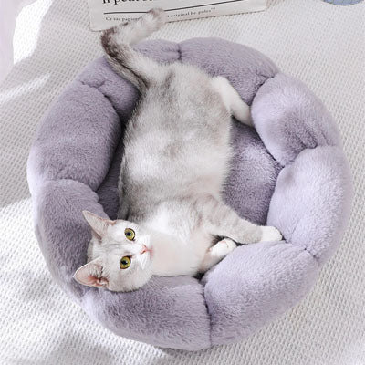 coussin pour chat en forme de fleur grise avec un beau grand chat qui est bien installé pour la sieste