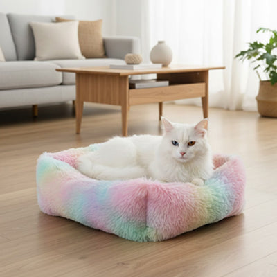coussin pour chat arc en ciel