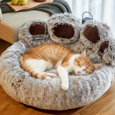 coussin pour chat avec chat roux