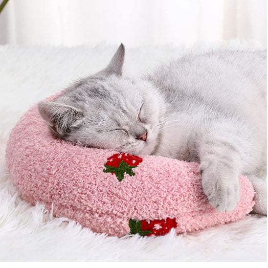 coussin pour chat avec une fraise