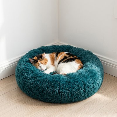 Coussin pour chat de couleur cyan avec un beau chat trois couleur qui est coucher en boule et qui dort paisiblement