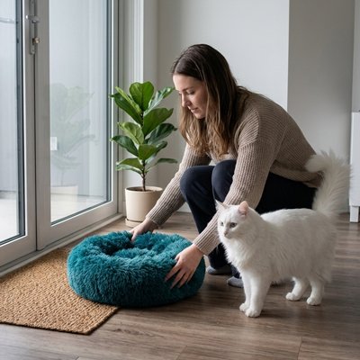 Coussin pour chat de couleur cyan avec un femme qui l'installe au sol pour son beau chat blanc
