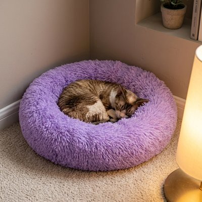 Coussin pour chat de couleur violet avec un beau chat coucher en boule et dort confortablement