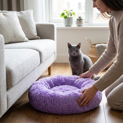 Coussin pour chat de couleur violet avec une femme qui installe le coussin au sol pour son beau chat gris