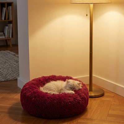 coussins pour chats rouge avec un chat blanc qui dort