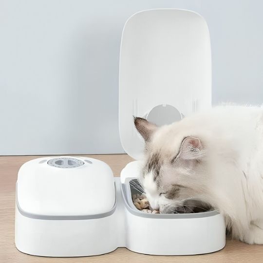 distributeur automatique croquettes chat gris blanc