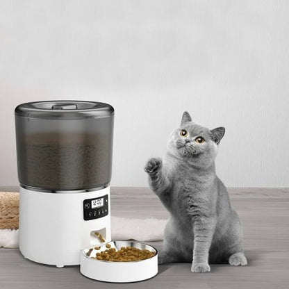 distributeur automatique croquettes chat splendide et innovant