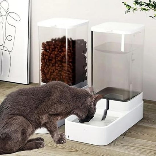 distributeur croquette chat avec chat gris