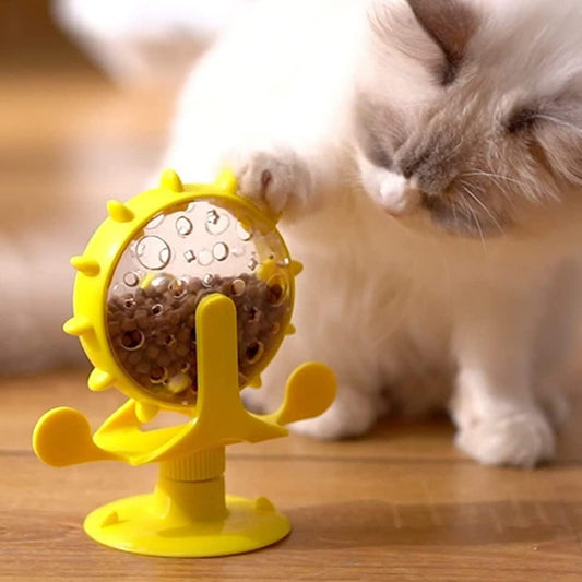 distributeur croquette chat avec un chat blanc