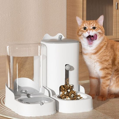 distributeur croquette chat capital