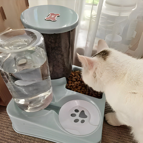 distributeur croquette chat fabuleuse et essentiel