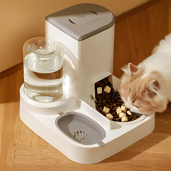 distributeur croquette chat grandiose