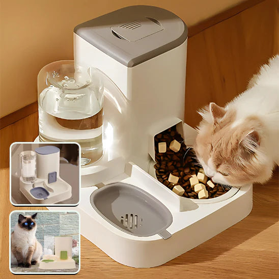 Mon Jolie Chat Distributeur d’eau et croquettes pour chat