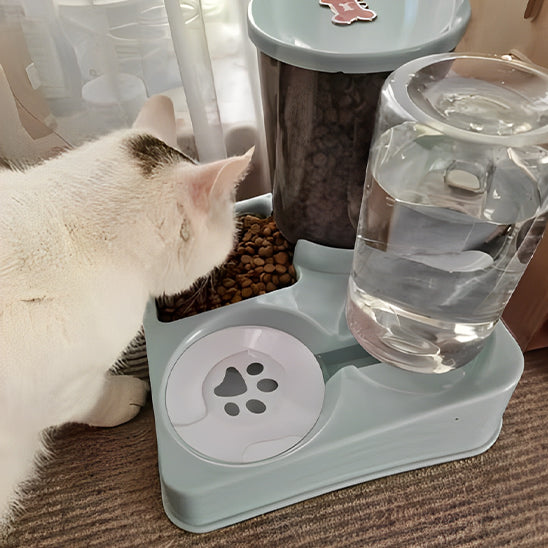 distributeur croquette chat royal et pratique
