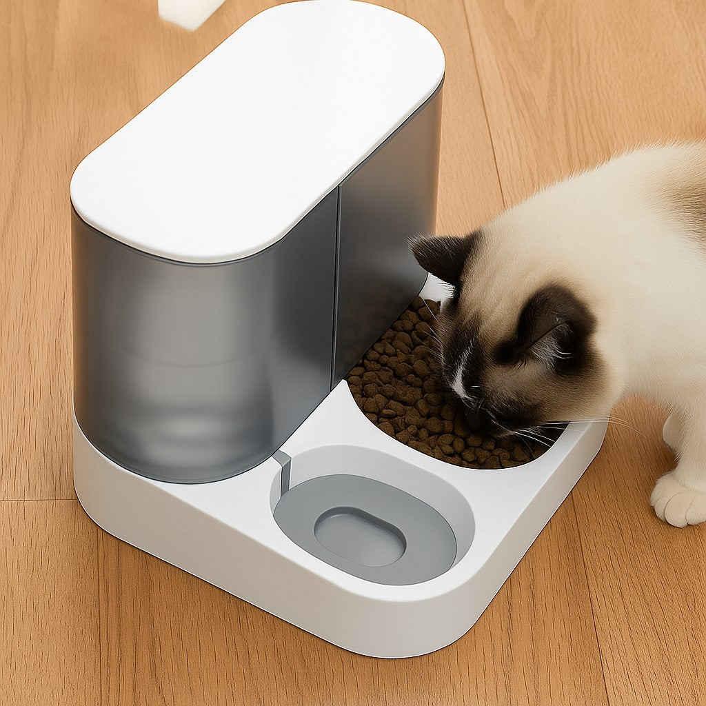 distributeur croquettes chat pratique et magnifique