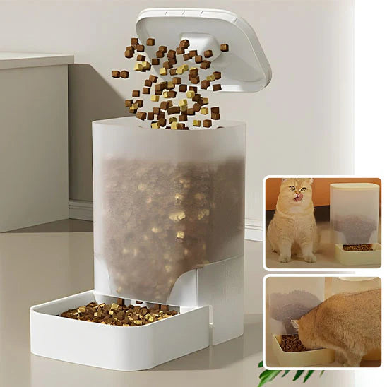 Mon Jolie Chat Distributeur d’Eau et Croquettes pour Chat