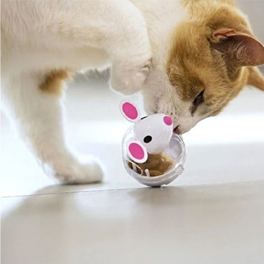 distributeur de croquettes pour chat tordant