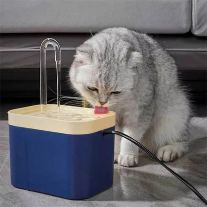 fontaine a eau chat abreuvoir