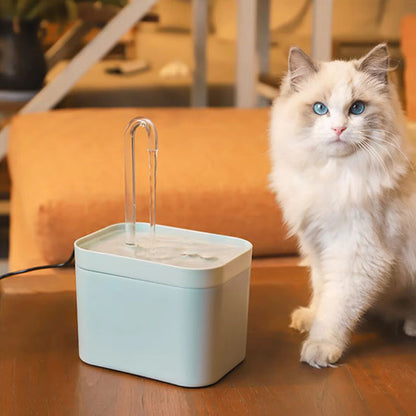 fontaine a eau chat flotte
