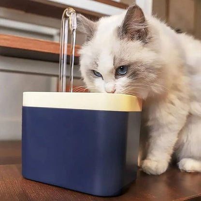 fontaine a eau chat hydratante chat blanc