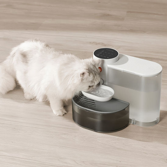 fontaine a eau chat pratique