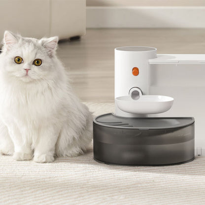 fontaine a eau chat utile