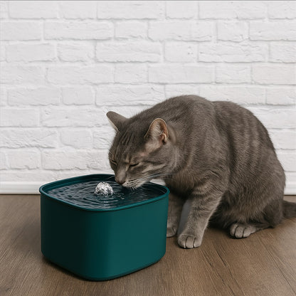 fontaine a eau pour chat avec chat gris et fontaine