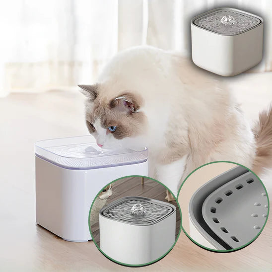 Fontaine à Eau pour Chat 3 L – USB