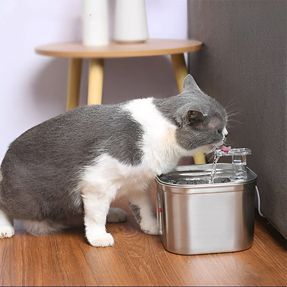 fontaine a eau pour chat luxueuse