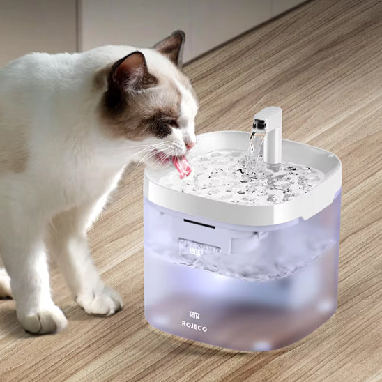 fontaine a eau pour chat moderne